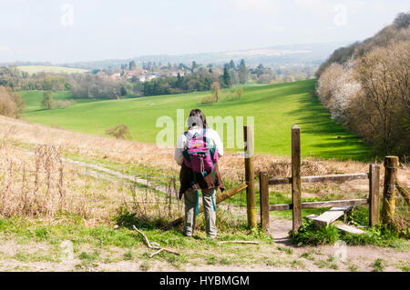 Ein Wanderer auf der North Downs Way, Blick auf die Parklandschaft der Gatton Park, entworfen von Lancelot 'Capability' Brown - Grüngürtel südlich von London. Stockfoto