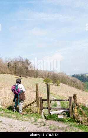 Ein Wanderer auf der North Downs Way, Blick auf die Parklandschaft der Gatton Park, entworfen von Lancelot 'Capability' Brown im grünen Gürtel südlich von London. Stockfoto