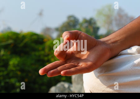 Ein indischer Hand in die Meditation Position oder Jnana Mudra Stockfoto