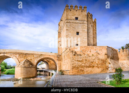 Cordoba, Spanien, Andalusien. Callahora Turm und römische Brücke am Fluss Guadalquivir. Stockfoto