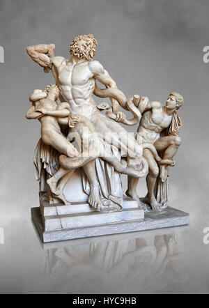 Statue Gruppe identifiziert als Laocoon von Plinius als ein Meisterwerk beschrieben Vatikanischen Museen, Stockfoto