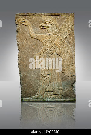 Assyrischen Relief Skulptur Panel von einem Schutzgeist mit einem Adler Kopf aus Nimrud, Irak.  Der Geist hält einen symbolischen Tanne Kegel und sprink Stockfoto