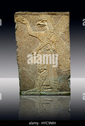 Assyrischen Relief Skulptur Panel von einem Schutzgeist mit einem Adler Kopf aus Nimrud, Irak.  Der Geist hält einen symbolischen Tanne Kegel und sprink Stockfoto