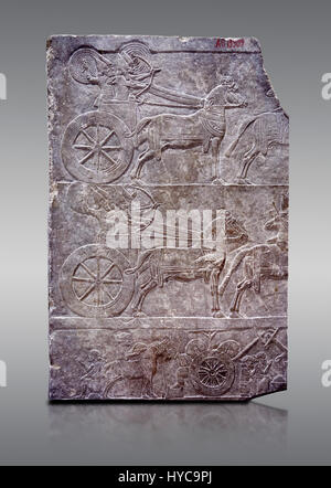 Stein Relief geschnitzte Panel von aa assyrische Streitwagen. Aus dem Palast von Ashurnasirpal II Zimmer VI/T1, Ninive, dritte Viertel des 8. Jahrhunderts v. Chr.. Ich Stockfoto