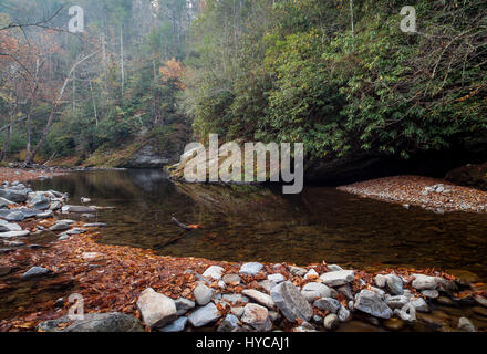 Dieses Bild wurde entlang der Little River Gorge Road in der Great Smoky Mountain National Park. Der kleine Fluss ist ca. 60 km lang und landschaftlich sehr reizvoll. Es beginnt in der Great Smoky Nationalpark und schließlich mündet in die Tennessee River am Fort Loudon See. Stockfoto