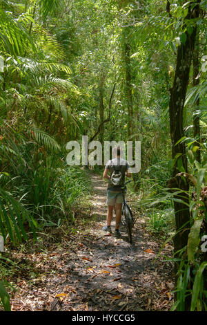 Radfahren in den Dschungel, Ko Tarutao Insel, Thailand Stockfoto