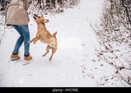 Mädchen im weißen Winterwald mit Hund wandern Stockfoto