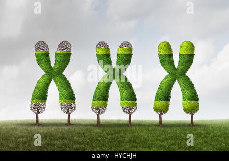 Telomere Wachstum und mehr Länge als ein DNA-medizinisches Konzept als Chromosom Baum mit wachsender Endkappen als Symbol für das Altern. Stockfoto