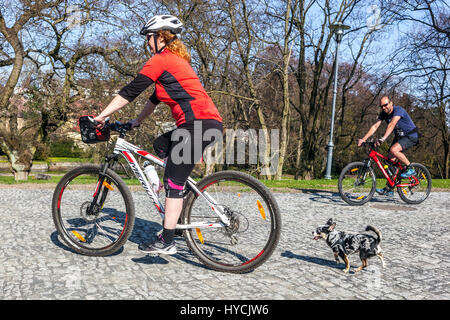 Radfahrer auf dem Radweg mit Hund entlang des Flusses Ohre, Klasterec nad Ohri, Nordböhmen, Tschechische Republik, Europa Radfahrer Hund Stockfoto