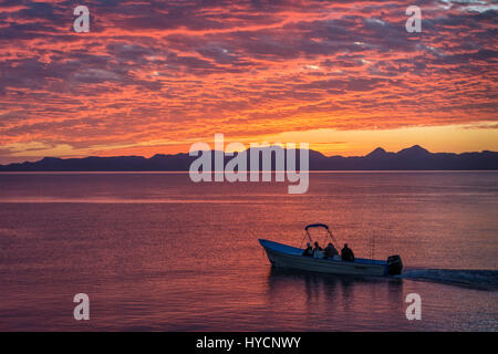 Panga Position heraus für Walbeobachtungen in der Sea of Cortez bei Sonnenaufgang, Loreto, Baja California Sur, Mexiko. Stockfoto