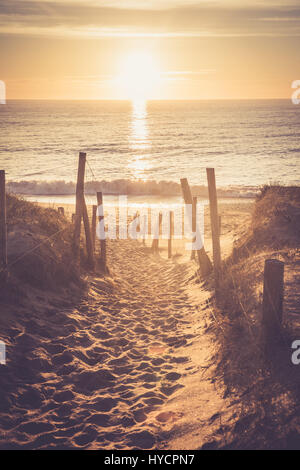 Weg zum Strand von la Gachere (Bretignolles-Sur-Mer, Frankreich) Stockfoto