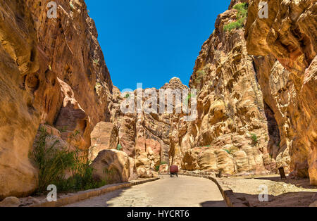 Straße in der Siq-Schlucht bei Petra Stockfoto