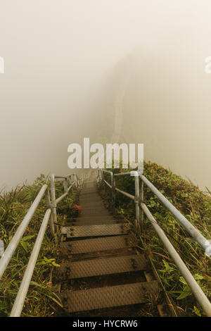 Haiku-Treppe ist rutschig und geheimnisvolle Wanderung auf der Insel oahu Stockfoto