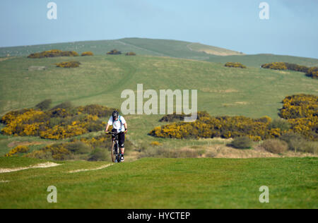 Radfahren auf den South Downs Way in East Sussex Stockfoto