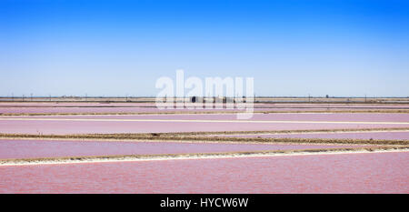 Camargue-Park, Landschaft Giraud rosa Salinen. Rhone-Delta, Provence, Frankreich. Stockfoto