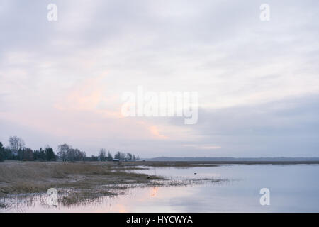 Matsalu Nationalpark in Estland im Winter. Dieser Park ist bekannt für die Vogelbeobachtung Stockfoto