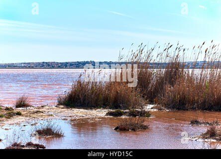 Las Salinas Salz See von Torrevieja, erklärt eine der gesündesten in Europa, nach der World Health Organization. Provinz Alicante. Kosten Stockfoto