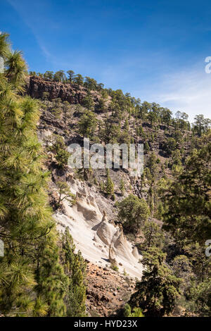 Mondlandschaft, Paisaje Lunar-Bereich in den Kiefernwäldern über Vilaflor, Felsen ausgehöhlt durch Wind und Wasser über die Jahre, Teneriffa, Kanarische Inseln, Spanien Stockfoto