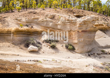 Mondlandschaft, Paisaje Lunar-Bereich in den Kiefernwäldern über Vilaflor, Felsen ausgehöhlt durch Wind und Wasser über die Jahre, Teneriffa, Kanarische Inseln, Spanien Stockfoto