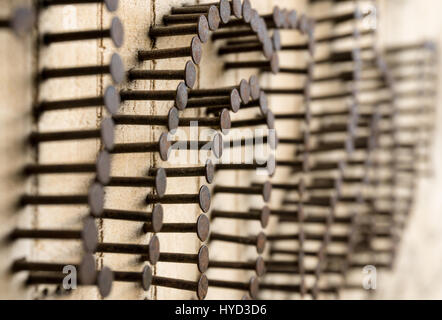 Viele Nägel in Holz- Wand genagelt, geklebt Nägel. Teamwork Stockfoto