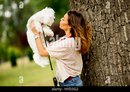 Junge Frau mit einem Malteser Hund Stockfoto