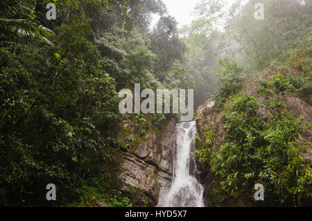 Puerto Rico, El Yunque National Forest, La Mina Falls im Wald Stockfoto