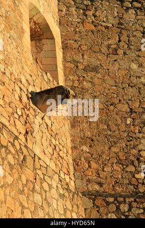 Entwässerung Auswurfkrümmer auf der Wand des Ex-Kloster von Santiago Apóstol, Oaxaca, Mexiko Stockfoto