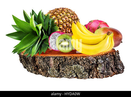 Sammlung der Früchte auf einem hölzernen сross Abschnitt der Baumstamm isoliert auf weißem Hintergrund Stockfoto