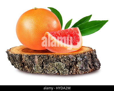 Grapefruit auf einem hölzernen сross Abschnitt der Baumstamm isoliert auf weißem Hintergrund Stockfoto