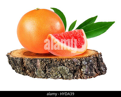 Grapefruit auf einem hölzernen сross Abschnitt der Baumstamm isoliert auf weißem Hintergrund Stockfoto