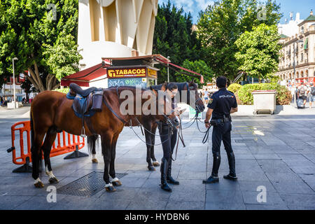 Sevilla, Spanien - 10. September 2015: Berittene Polizei auf den Straßen von Sevilla in der Nähe von Metropol Parasol.  Frauen, die gerade in ihr Handy Stockfoto