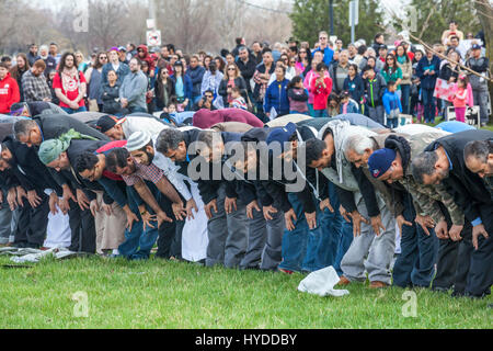 Dearborn, Michigan - muslimische Männer beten in einem Park in der Nähe der American Muslim Society Moschee. Das Freitagsgebet kam am Ende der Einheit Marsch mit mos Stockfoto