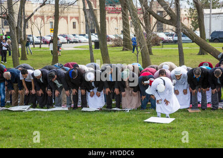 Dearborn, Michigan - muslimische Männer beten in einem Park in der Nähe der American Muslim Society Moschee. Das Freitagsgebet kam am Ende der Einheit Marsch mit mos Stockfoto