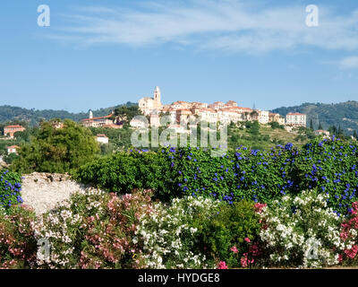 Diano Castello, Italien - 18. Juni 2015: Bergdorf, umgeben von Olivenhainen und Weinbergen Stockfoto