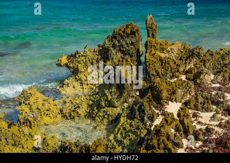 Rocks in Rum Point am Ufer der Karibik, Grand Cayman, Cayman Islands Stockfoto