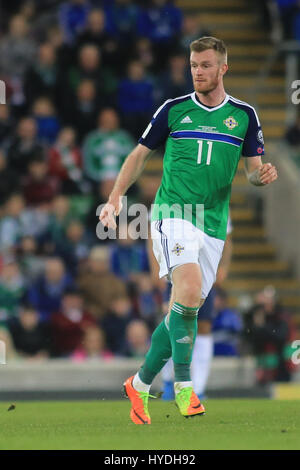 Northern Ireland Chris Burnt während eines Spiels in Belfast. Stockfoto