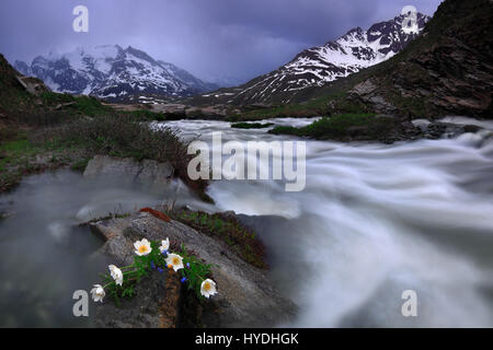 Die tosenden Stromschnellen des Arc im oberen Teil des Val Cenis in den französischen Westalpen, Haute Maurienne. Stockfoto