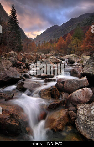 Valle Gesso ist nur einer aus dem Labyrinth der kurze, steile und schmale Täler des Nationalparks Alpi Marittime im südlichen Piemont, Italien. Ich nahm Stockfoto