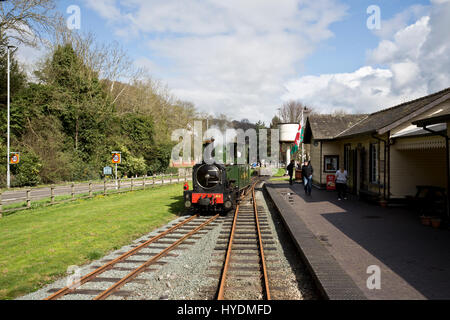 WELSHPOOL UND LLANFAIR RAILWAY BURG CAREINION STATION, POWYS Stockfoto