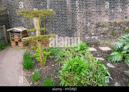 Dreieckig geformten Weide Stick & Holzkonstruktion Frame support bei der National Botanic Garden of Wales Carmarthen UK KATHY DEWITT Stockfoto