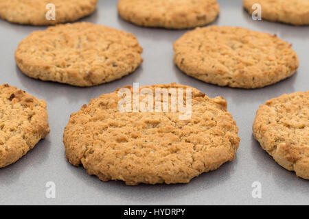 Nahaufnahme von mehreren Haferflocken Cookies auf ein Backblech legen. Stockfoto