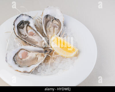 Frische Austern mit Zitrone auf weißen Teller im Restaurant. Natürliches Licht Stockfoto