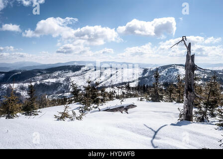 Magurka radziechowska Bergrücken in Beskid Slaski Berge und Beskid Zywiecki Bergkette mit Babia Gora, Pilsko und anderen Hügeln von zielon Stockfoto