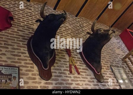 Ein paar Bull Kopftrophäen hängen an den Wänden der vielen spanischen Restaurants in der Altstadt von Sevilla, Sevilla, Spanien. Stockfoto