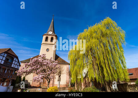 In der Nähe von Dorf Kirche, Ville, Frankreich, Frühling blühende Magnolie Stockfoto