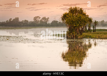 Stille Wasser spiegeln die Ufer und rosa Dämmerlicht. Gelbes Wasser Billabong, Northern Territories, Australien Stockfoto