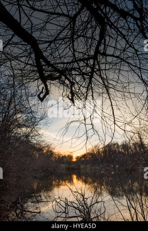 Fotos bei Sonnenuntergang im Crocheron Park in Bayside, NY. Stockfoto