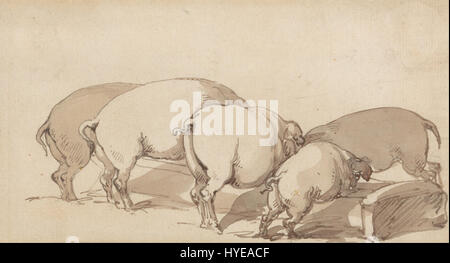 Thomas Rowlandson Schweine, die in einem Trog Google Art Project Stockfoto