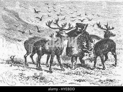 „The Field of Ice“, illustriert von Riou und Montaut, zeigt die gefährliche und dramatische Reise durch eine eisige Landschaft. Das Bild zeigt die rauen und gefährlichen Bedingungen, denen sich Entdecker in arktischen und antarktischen Regionen gegenübersehen. Stockfoto