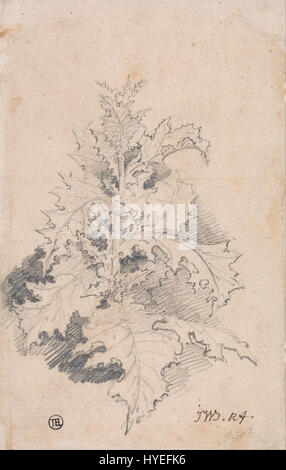 James Wards „Study of a Thistle“ konzentriert sich auf eine detaillierte botanische Illustration, die die komplizierten Merkmale einer Distelpflanze erfasst. Wards Studie ist bekannt für seine präzise Darstellung und betont die Textur, Form und Struktur der Pflanze und zeigt sein Können in botanischer Kunst und Beobachtung. Stockfoto